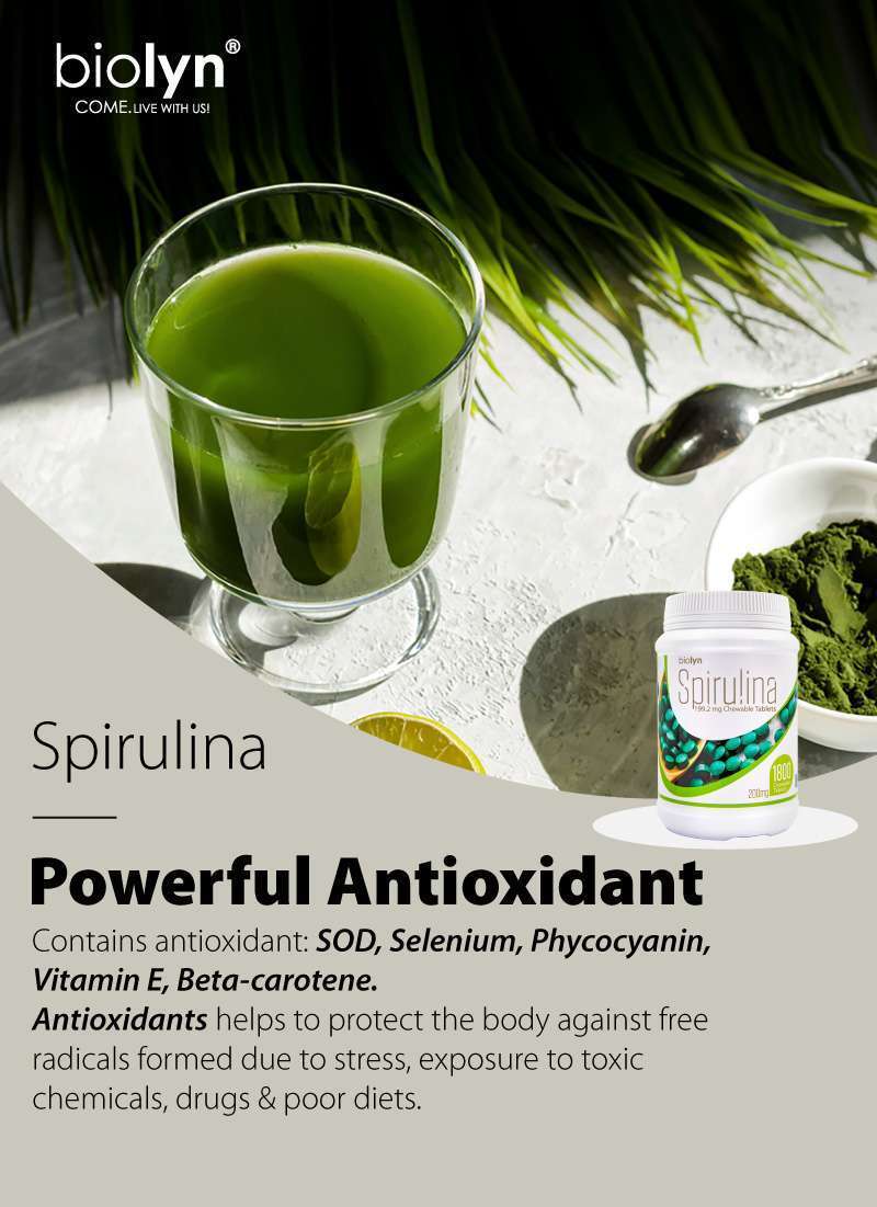 Biolyn Spirulina 199.2mg Chewable Tablet (300's) (EXP: Dec 27) - Image 13