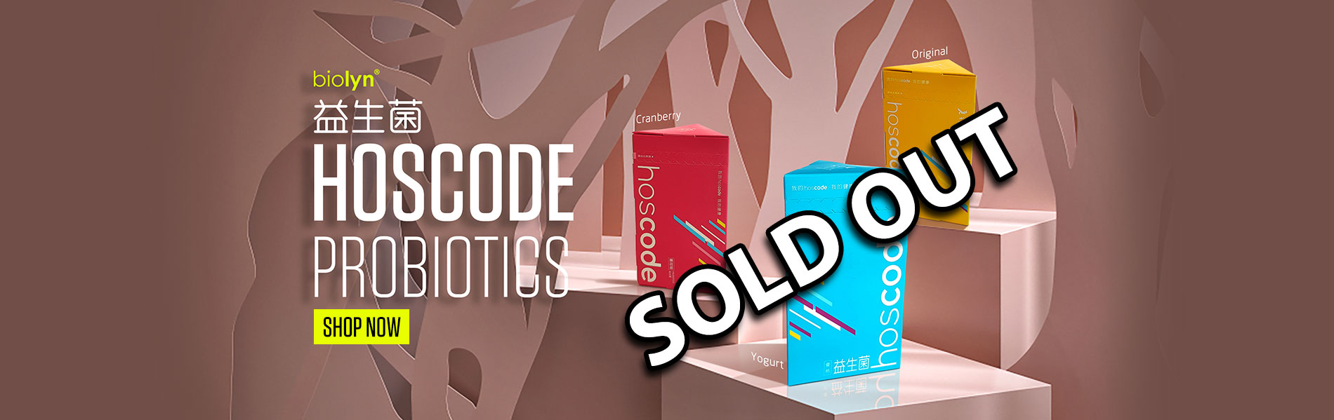 hoscode-sold-out_04_04